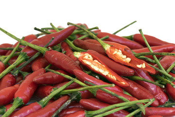 Brazilian pepper known in Portuguese as 