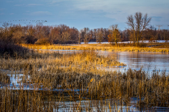 Batavia Fermilab wetlands