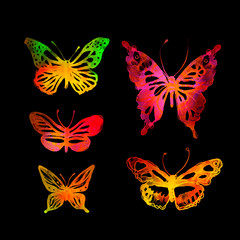 Fototapeta na wymiar butterflies painted with watercolors