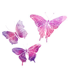 butterflies painted with watercolors