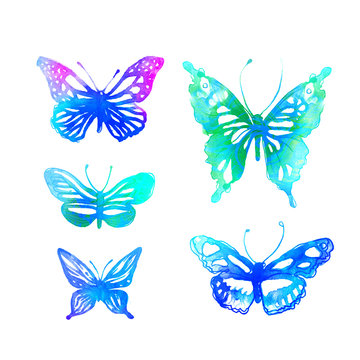 butterflies painted with watercolors