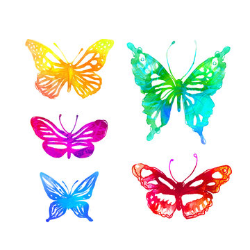 butterflies painted with watercolors