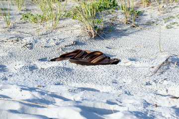 Fabric sandals (flip flops) on the beach with green dune grass in the background