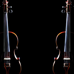 Violin isolated on black