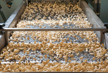 Shelled almonds in the carriage for the peeling process in a modern factory - 121610512