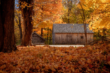 Crunch, crunch, crunch...