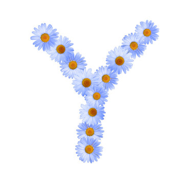 blue daisy flowers forming letter y clip art preview
