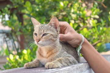 Gauze bandage the foottreating patients with foot ulcersmale is wrapping his Foot injury with bandage.( select focus Gauze bandage)