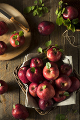 Raw Organic Red Delicious Apples
