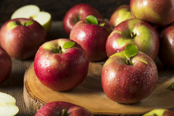Raw Organic Red Mcintosh Apples