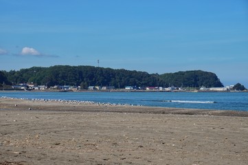 オホーツクの海岸線と水鳥