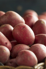 Raw Organic Red Potatoes