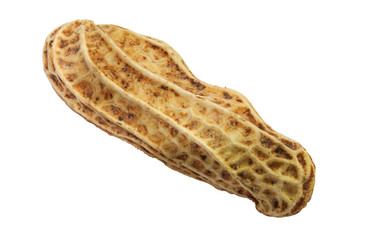 Closeup of single brown boil peanut on white background