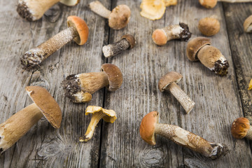 Raw mushrooms on a wooden table