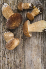 Raw mushrooms on a wooden table