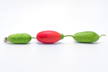 Coccinia grandis raw green and red isolated on white background