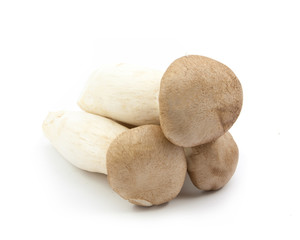 fresh mushrooms