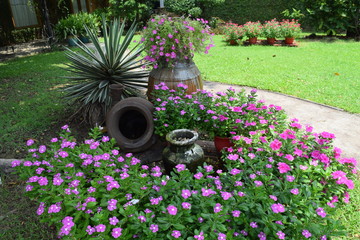 landscaping garden with colorful flowers