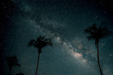 Belle fantaisie de palmier sur une plage tropicale avec des étoiles de la voie lactée sur fond de ciel nocturne. Oeuvre de style rétro avec ton de couleur vintage