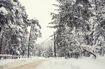 Snowfall on the mountain road