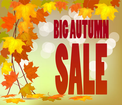 autumn foliage vector sale banner