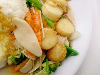 Stir Fried Tofu in Chinese Style,Deep Fried Tofu with Gravy Sauce ,Stir fried tofu with  mixed vegetables in white plate on white background. Vegetarian Food, healthy food.