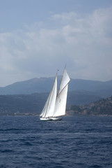 Fototapeta na wymiar Sail boats