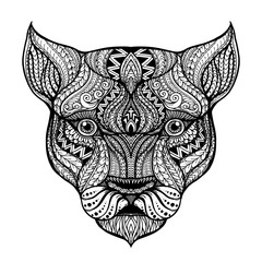 Vector hand drawn head of the lioness. Black and white zentangle