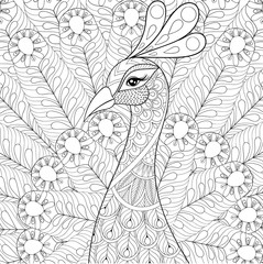 Peacock with feathers in zentangle style. Freehand sketch for ad