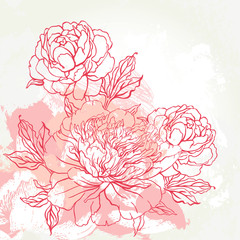 Beautiful peony bouquet design on beige background. Hand drawn vector illustration. - obrazy, fototapety, plakaty