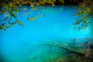Fototapeta na wymiar Transparent water in lakes of Plitvice