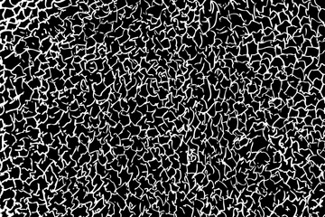 Back and White Crack texture