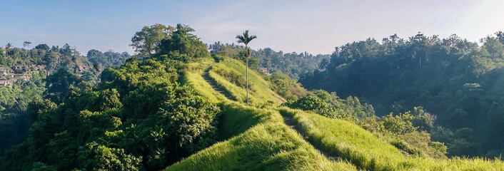 Panoramic view of the Campuhan Ridge Walk, Ubud, Bali, Indonesia