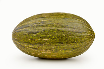 green melon isolated