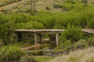 старый каменный мост через ручей. каменный мост зеленый фон