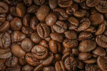 Roasted coffee beans