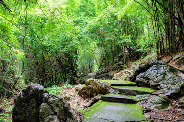 Route green bright in tropical rain forest on rain season at hellfire pass, kanchanaburi, thailand