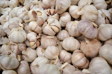 garlic, Fresh garlic - Red garlic, Garlic group background, Garl