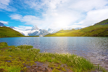 Naklejka na ściany i meble Fantastic landscape withe flowers near lake in the Swiss Alps,