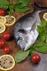 Raw fish Dorado