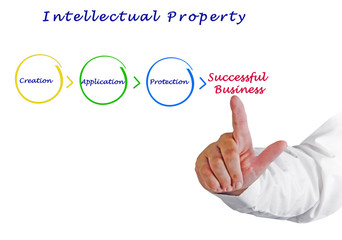 Intellectual property diagram
