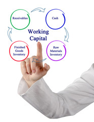 Working Capital