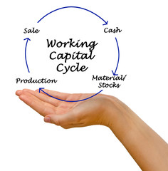 Working Capital Cycle