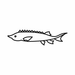 Fresh sturgeon fish icon in outline style isolated vector illustration