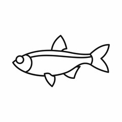 Rudd fish icon in outline style isolated vector illustration