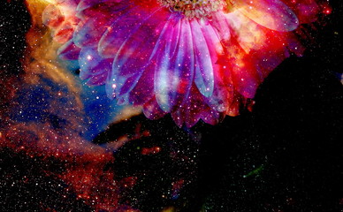 Space and stars with flower, color galaxi  background, computer collage.