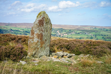Waymarker on the Moor