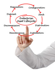 Enterprise Asset Life Cycle