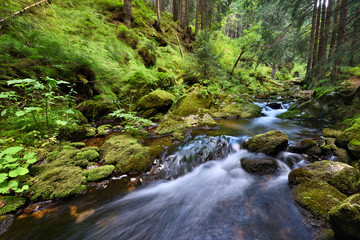 Swift mountain creek in a green valley