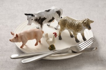 origine viande